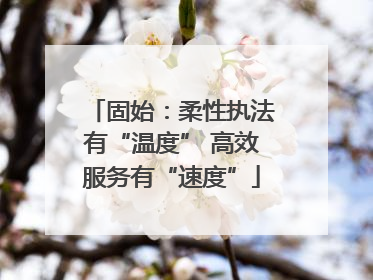 固始：柔性执法有“温度” 高效服务有“速度”